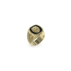 Bague Lion King Acier Doré Forme Chevalière Et Tête De Lion Sur Fond Noir Gm
