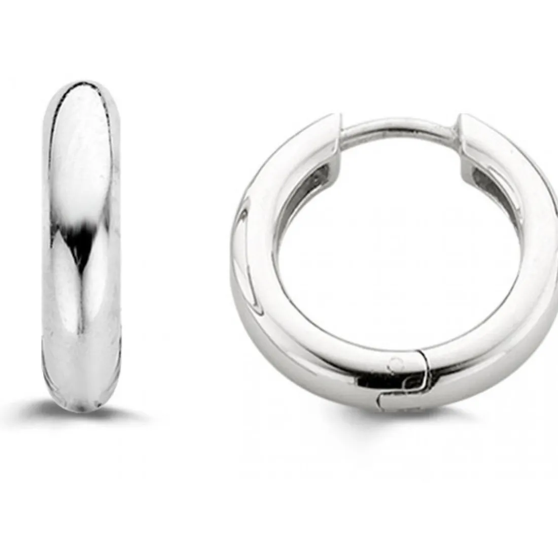 Boucles d'oreille Silver Ti Sento 7210SI