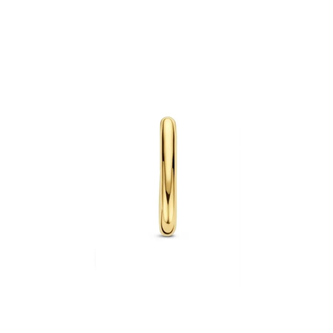 Boucles d'oreilles Ti Sento 7901SY-H - argent, plaqué or
