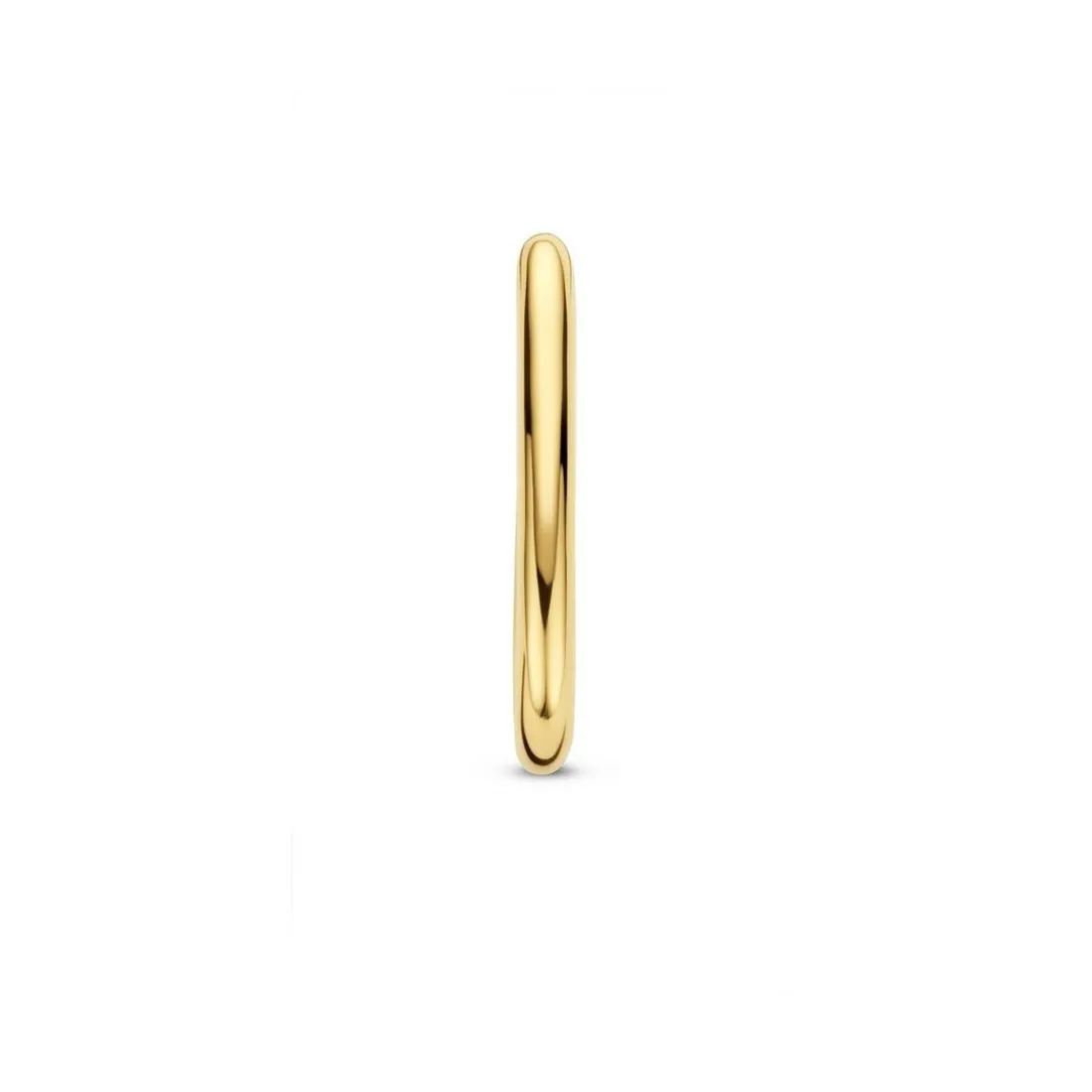 Boucles d'oreilles Ti Sento 7902SY-H - Argent, plaqué or