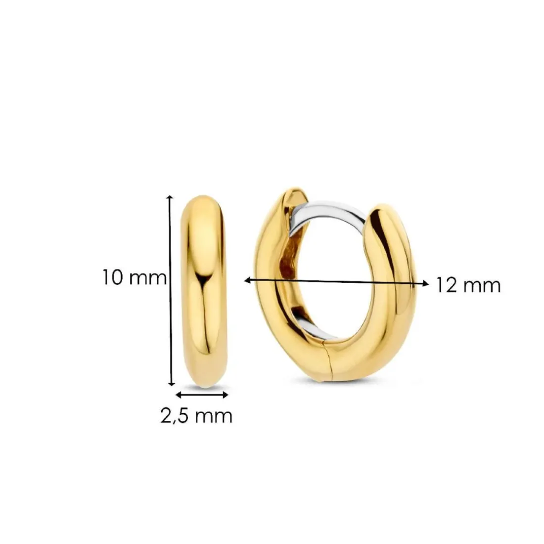 Boucles D'Oreilles Ti Sento - 7811YS Argent Doré Anneaux