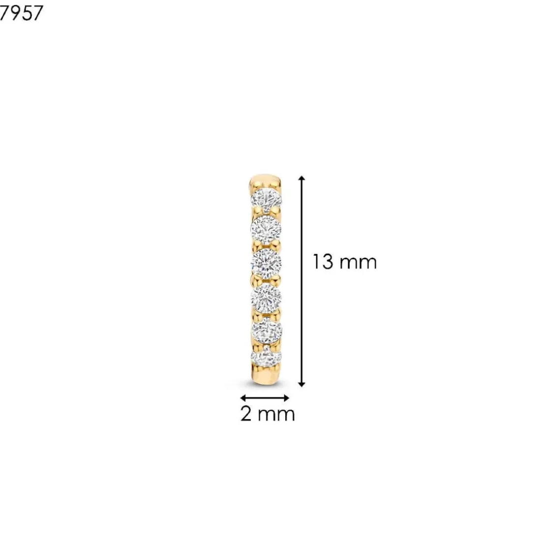 Boucles D'Oreilles Ti Sento - 7957ZY Argent Doré Anneaux Et Pavage