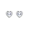 Boucles oreilles Ted Baker TBJ1654-01-02 - Argent