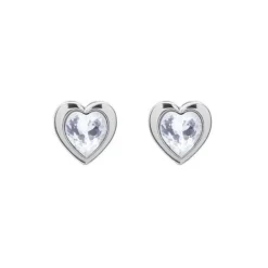 Boucles oreilles Ted Baker TBJ1654-01-02 - Argent