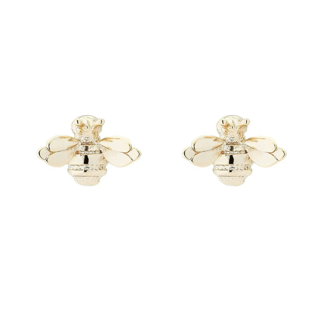 Boucles oreilles Ted Baker TBJ1848-32-03 - Doré