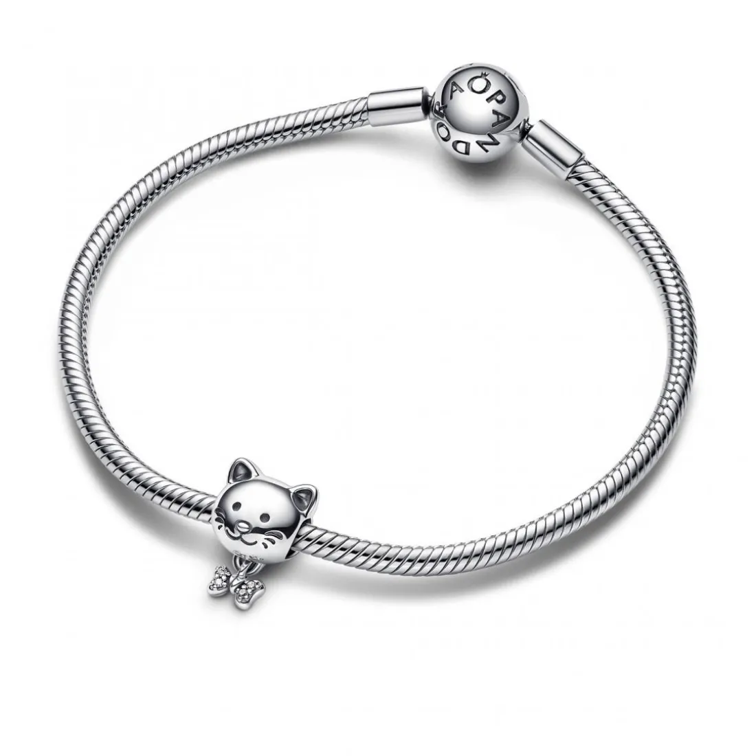 Charm chat et nœud scintillant