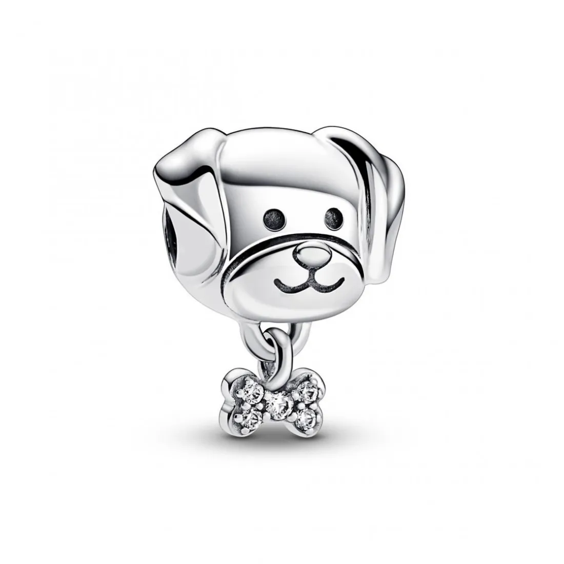 Charm Chien et Os