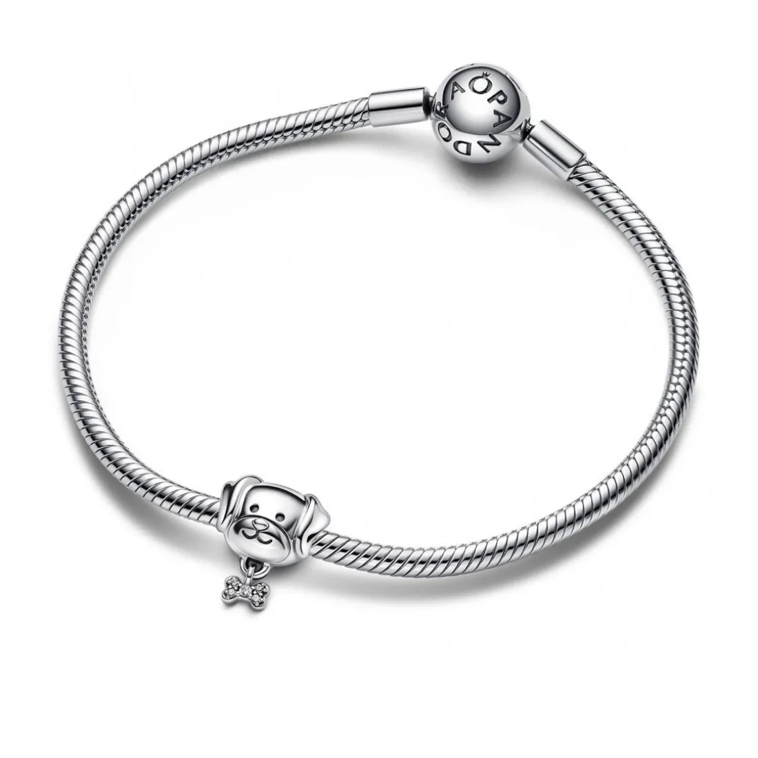 Charm Chien et Os