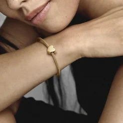 Charm Pandora moments Cœur
