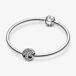 Charm Pandora Moments Racines Familiales Ajouré