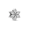 Charm Pandora Timeless - Herbier Scintillant