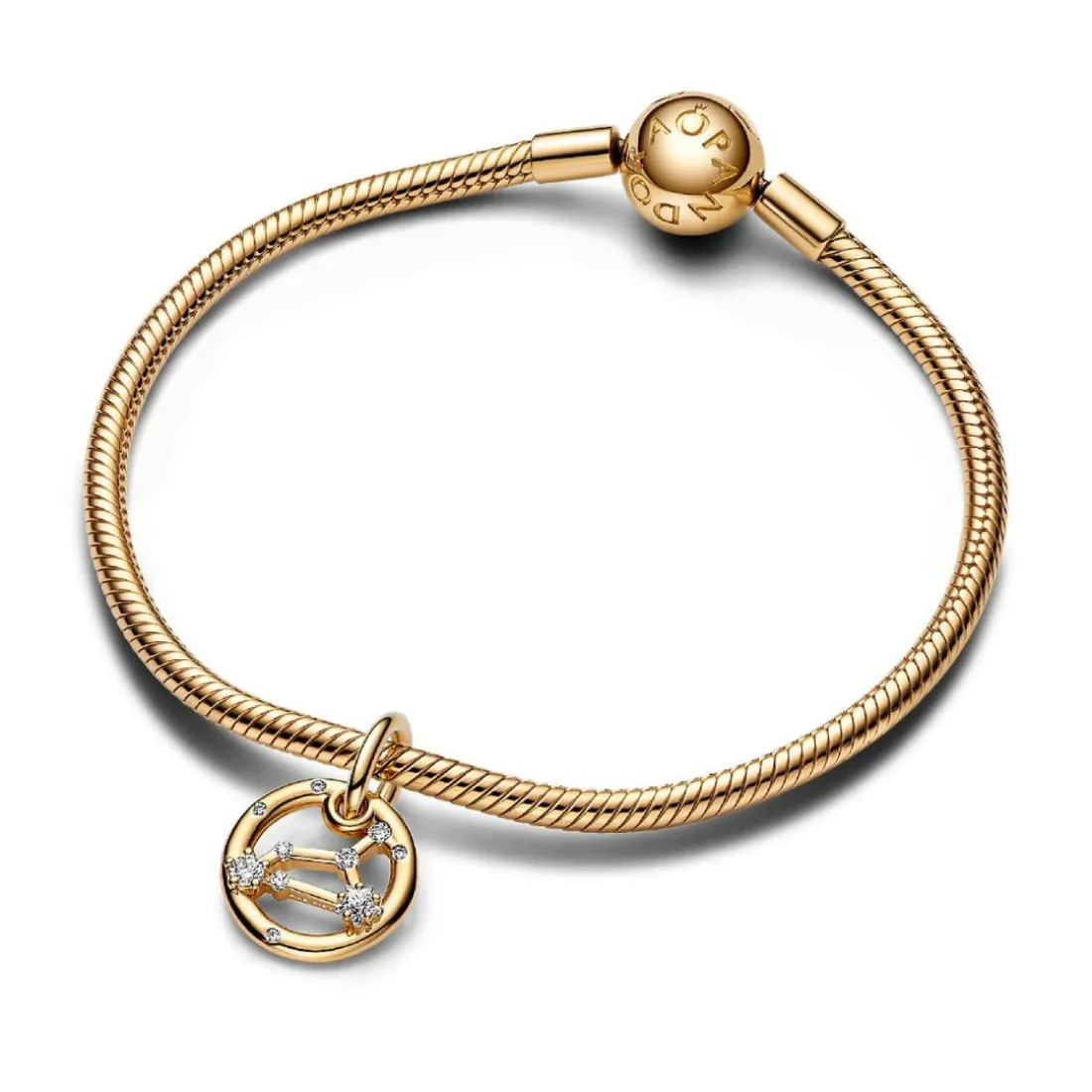 Charm Pendant Signe du Lion