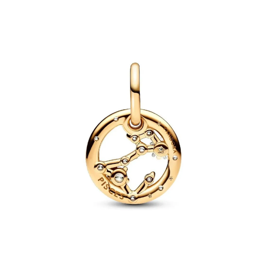 Charm Pendant Signe du Poissons