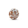 Charm Rond Herbier Scintillant – Pandora Timeless