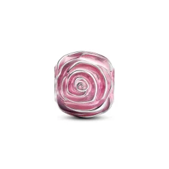 Charm Rose Épanouie Rose
