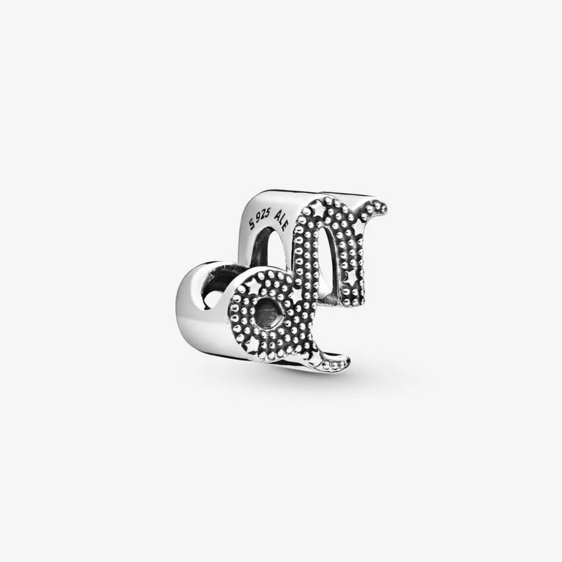 Charm Zodiaque Capricorne Signe Astrologique
