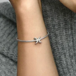 Charm Zodiaque Poisson Signe Astrologique