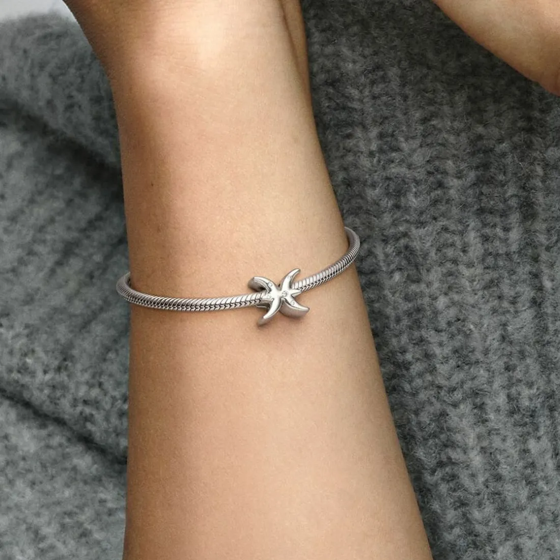 Charm Zodiaque Poisson Signe Astrologique