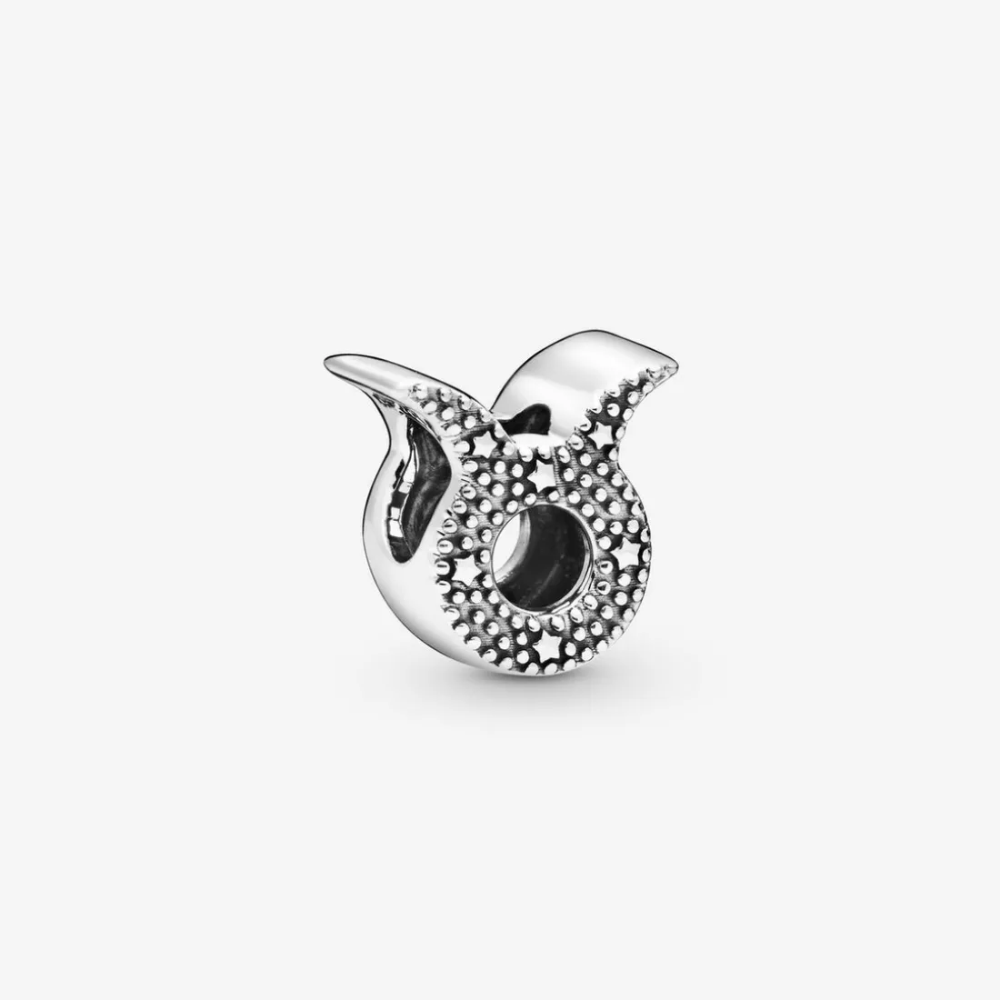 Charm Zodiaque Taureau Signe Astrologique