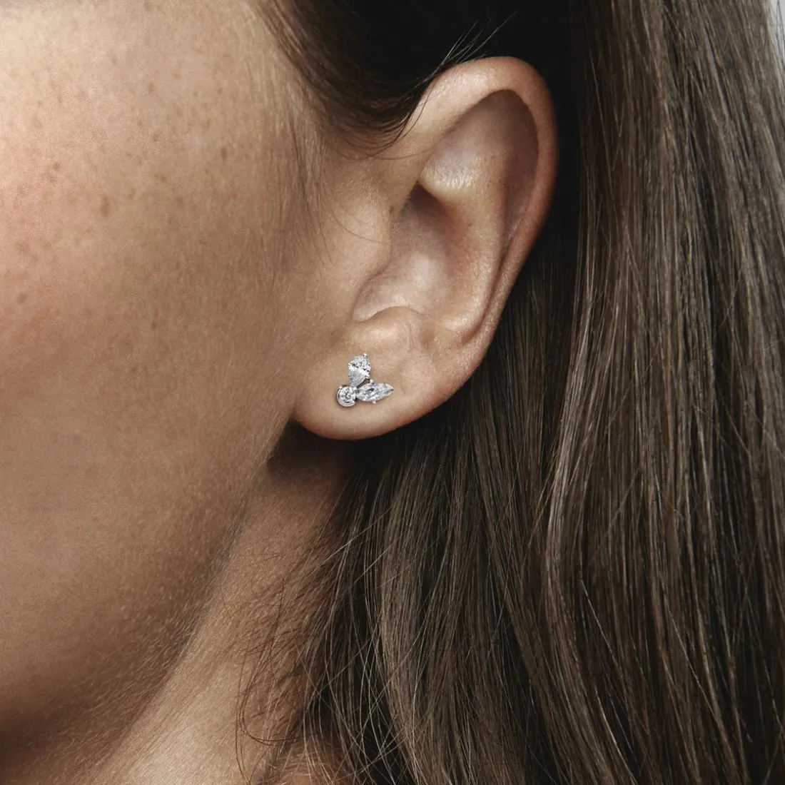 Clous d’Oreilles Herbier Scintillant – Pandora Timeless