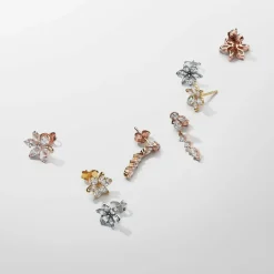 Clous d’Oreilles Pandora Timeless - Herbier Scintillant