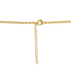 Collier et pendentif Femme Edforce 226-0045-S - Acier Doré