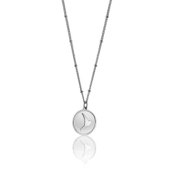Collier Femme Emily Westwood WN1019S - Acier Argent