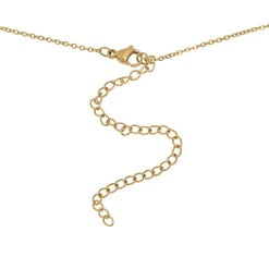 Collier et pendentif Femme Edforce 41-0301-S - Acier Doré