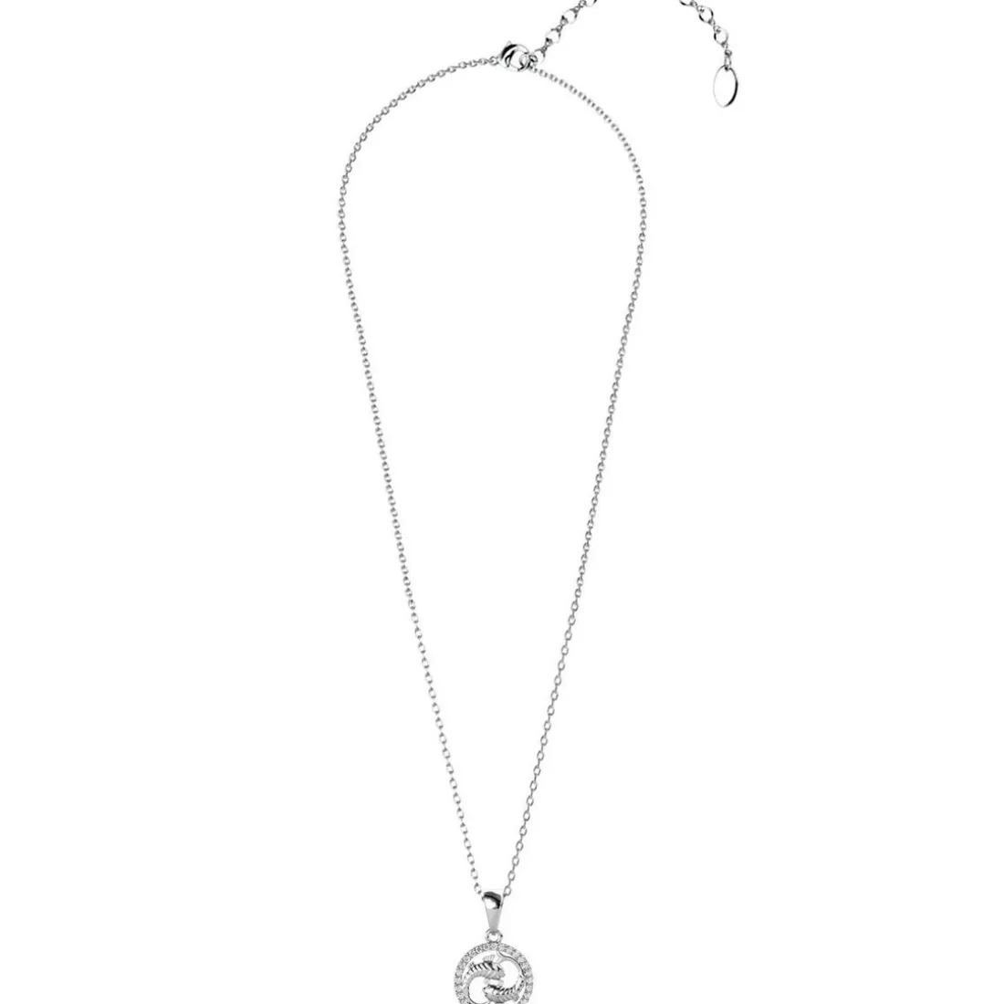 Pendentif Zodiaque Poisson Argenté